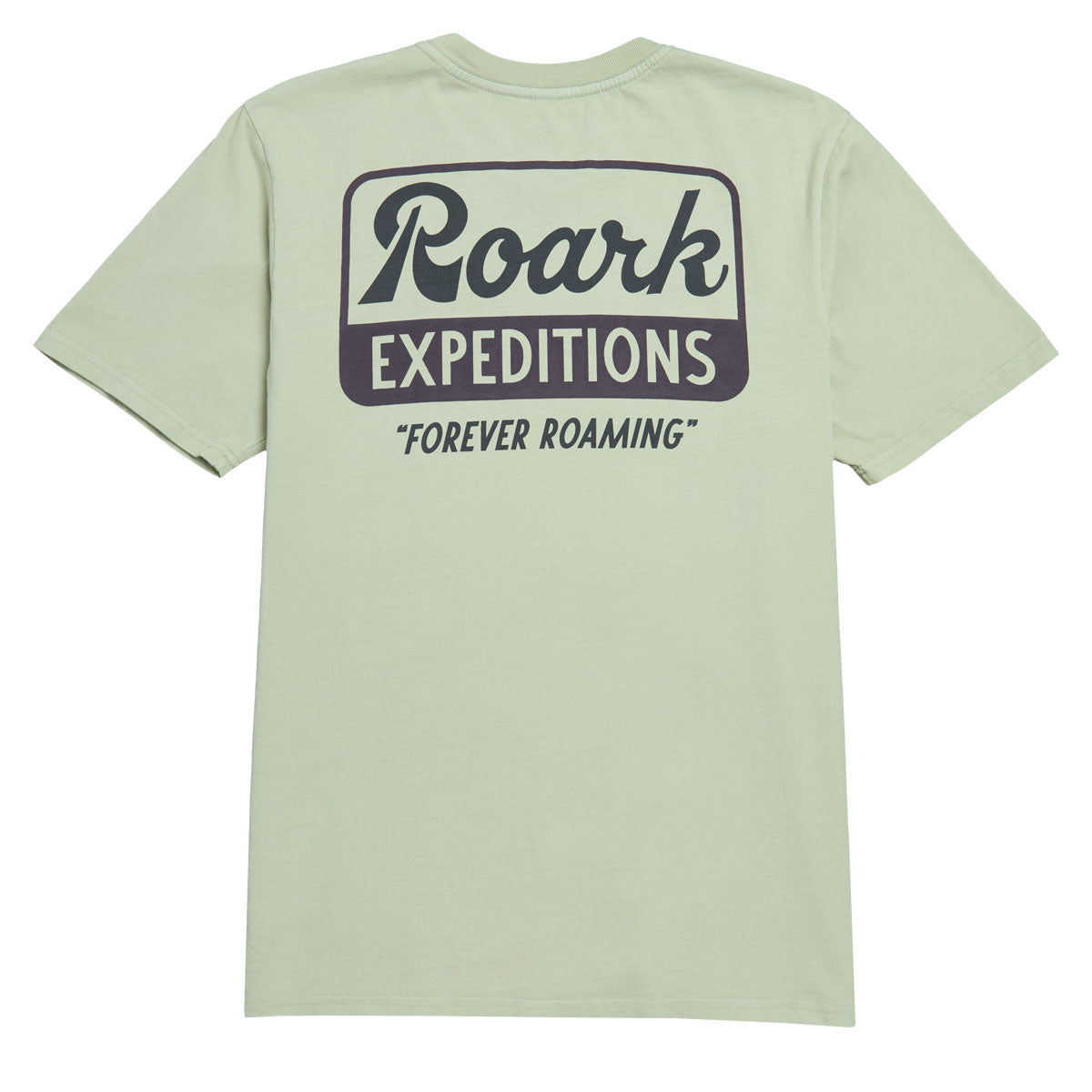Roark Expeditions Forever T-Shirt - Seafoam image 2