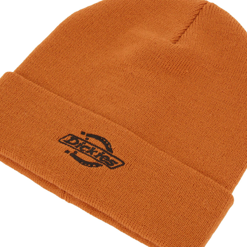 Dickies Summerdale Beanie - Autumn Maple
