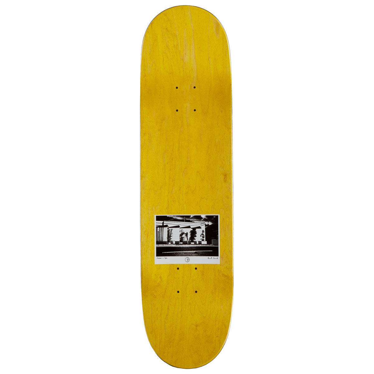 Polar Paul Grund Gardner Skateboard Complete - 8.25