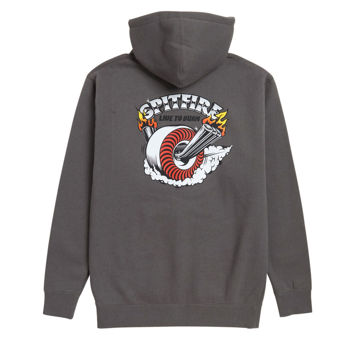 Spitfire Burnout Hoodie - Charcoal/Multi Color Prints image 1
