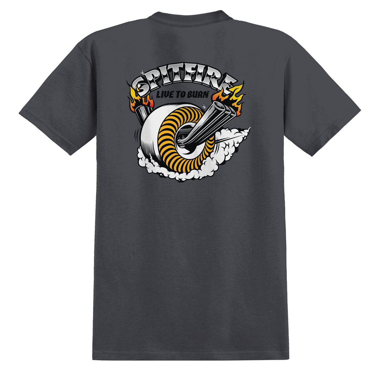 Spitfire Burnout T-Shirt - Charcoal/Multi Color Print image 1