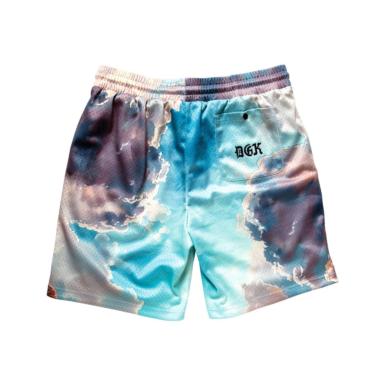 DGK Sacred Athletic Shorts - Multi image 2