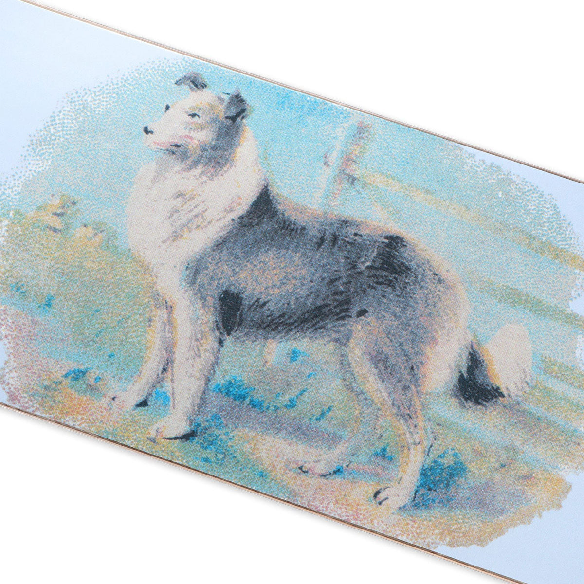 Lauren Teddy Bear Polo Bear Anti Hero Bear Sweater Passport Hybrid