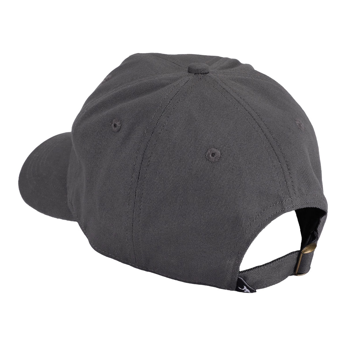 Passport Screwed Packers Hat - Steel image 2