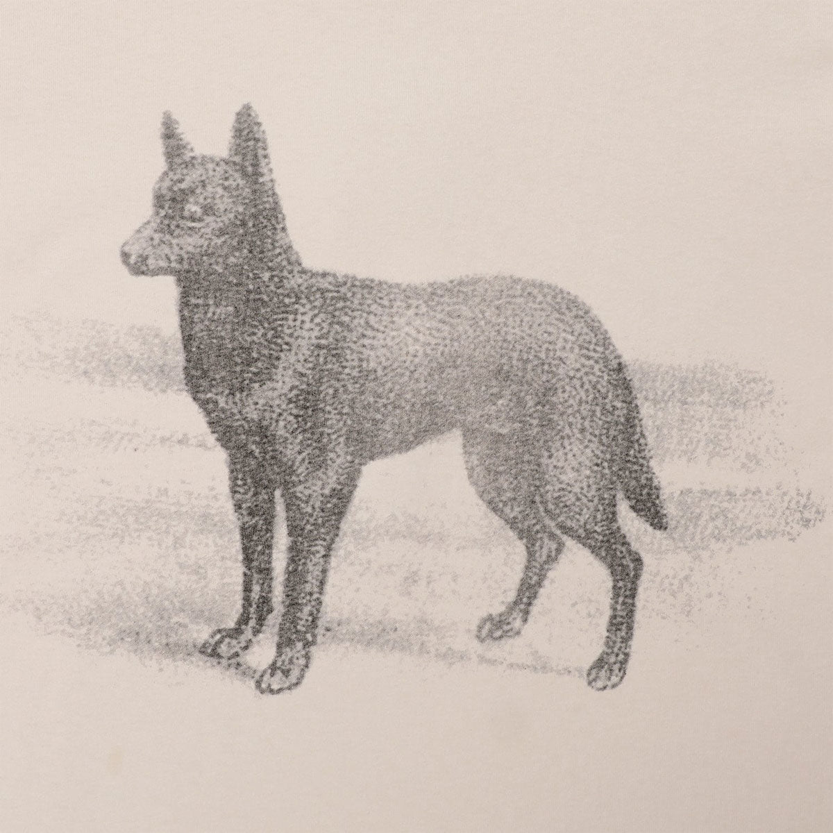 Passport Kelpie T-Shirt - Natural image 3