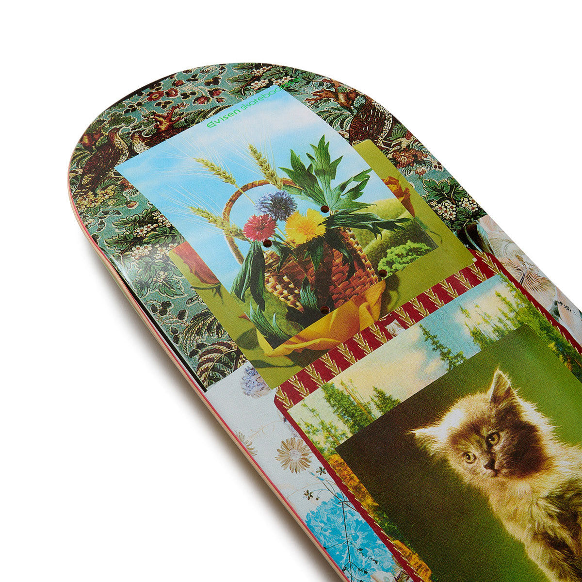 Evisen Feline Machine Skateboard Complete - 8.50