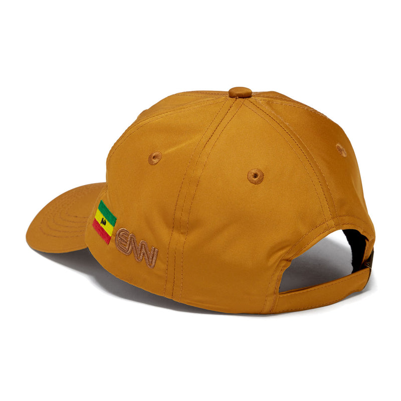 Evisen City 6 Panel Hat - Brown