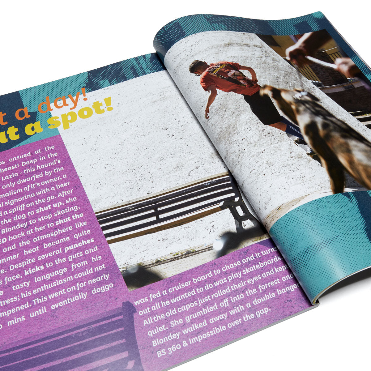 2001 Magazine Issue 1 image 2