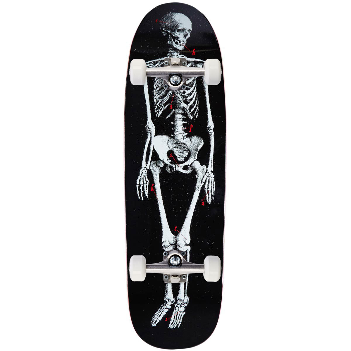 CCS Skeleton Shp1 Shaped Skateboard Complete - Black - 9.125