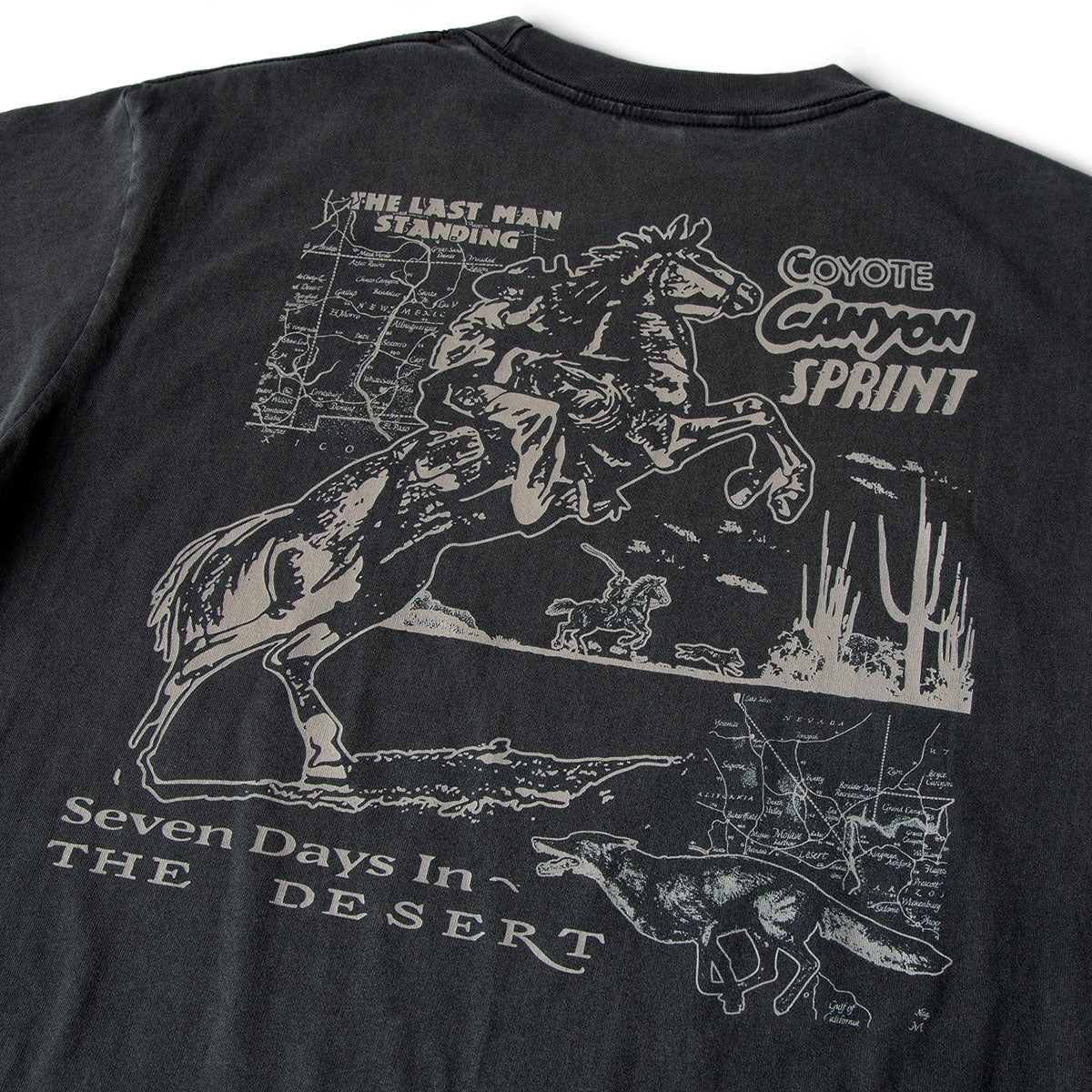 CCS Bootleg Coyote Canyon T-Shirt - Vintage Black image 4