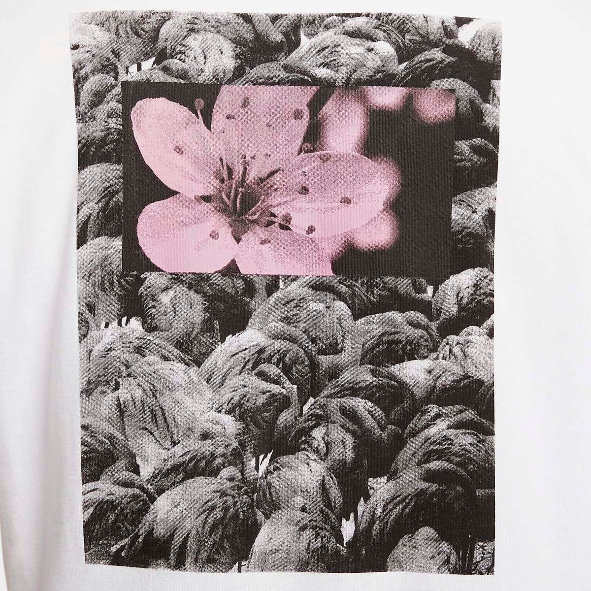 Nike SB Nature Logo T-Shirt - White image 4