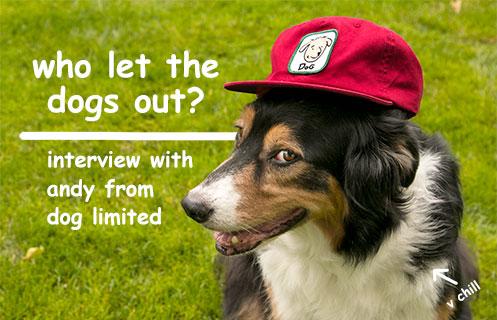 Who Let The Dogs Out?