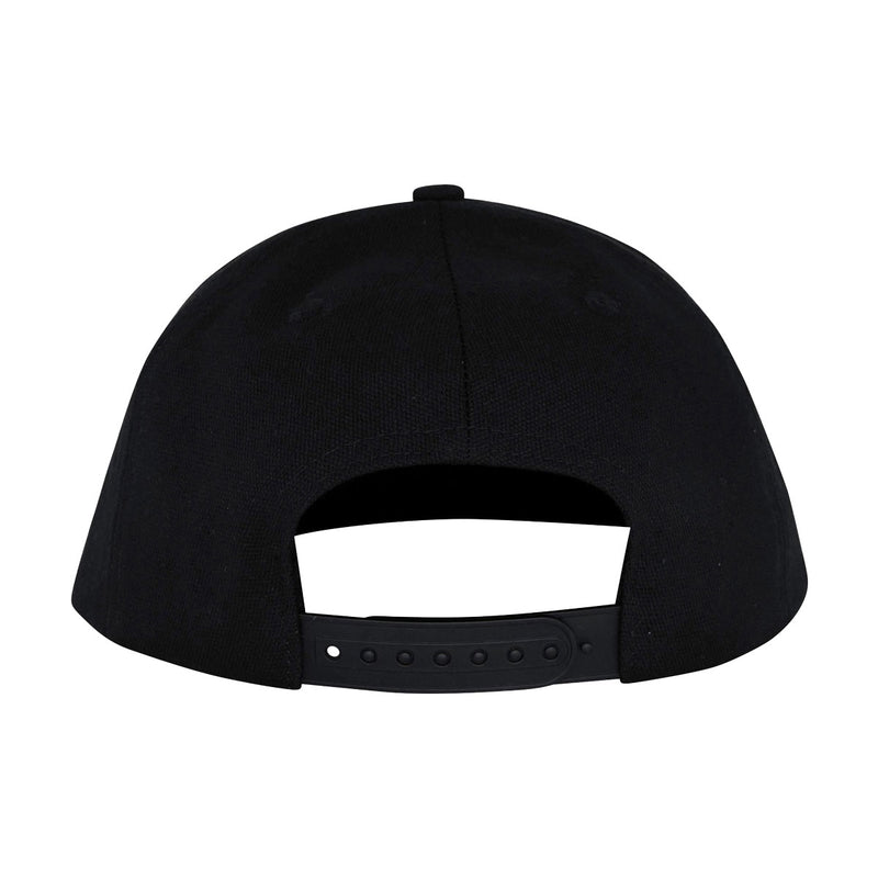 Santa Cruz Dressen Celtic Dogs Snapback Hat - Black