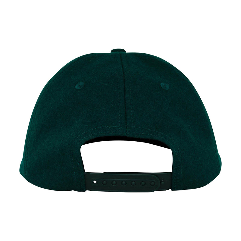 Santa Cruz Screaming Fire Snapback Hat - Forest