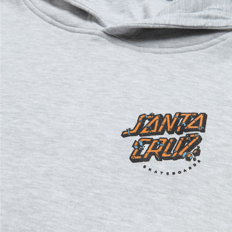 Santa Cruz Youth Roskopp Screaming Five Hoodie - Grey Heather