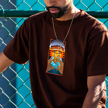 Santa Cruz Kendall EOTW Front T-Shirt - Brown