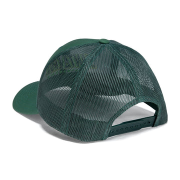 Santa Cruz Big Strip Snapback Hat - Evergreen