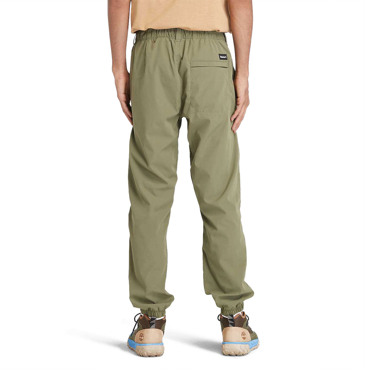 Timberland Dwr Jogger  Pants - Cassel Earth image 2