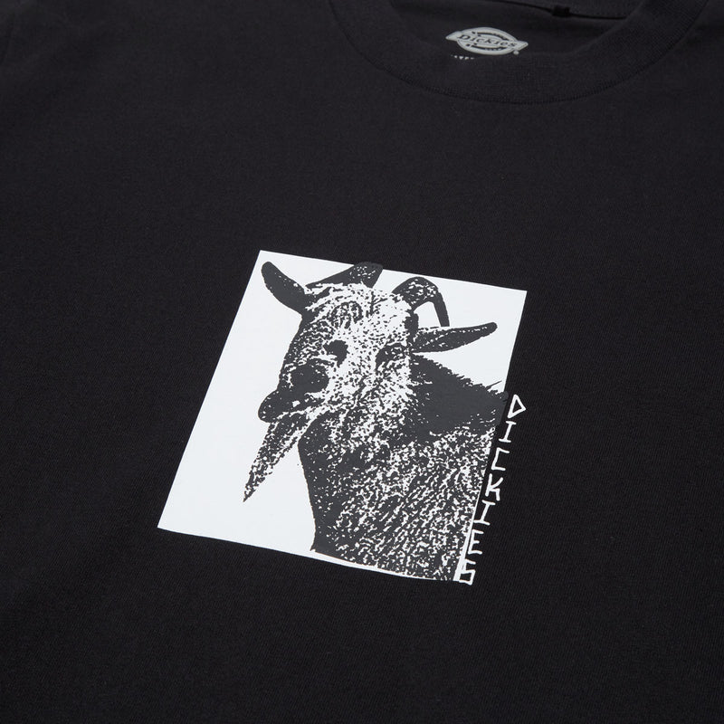 Dickies Mike Anderson Graphic T-Shirt - Black