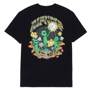 swatch:https://cdn.shopify.com/s/files/1/0519/1388/3831/files/swatch_163d9ea6-f4f3-4b0a-8896-d59173da5f55.jpg?v=1770051631