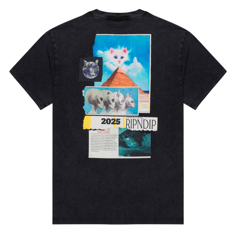 RIPNDIP Nerm Geo T-Shirt - Black Vintage Wash
