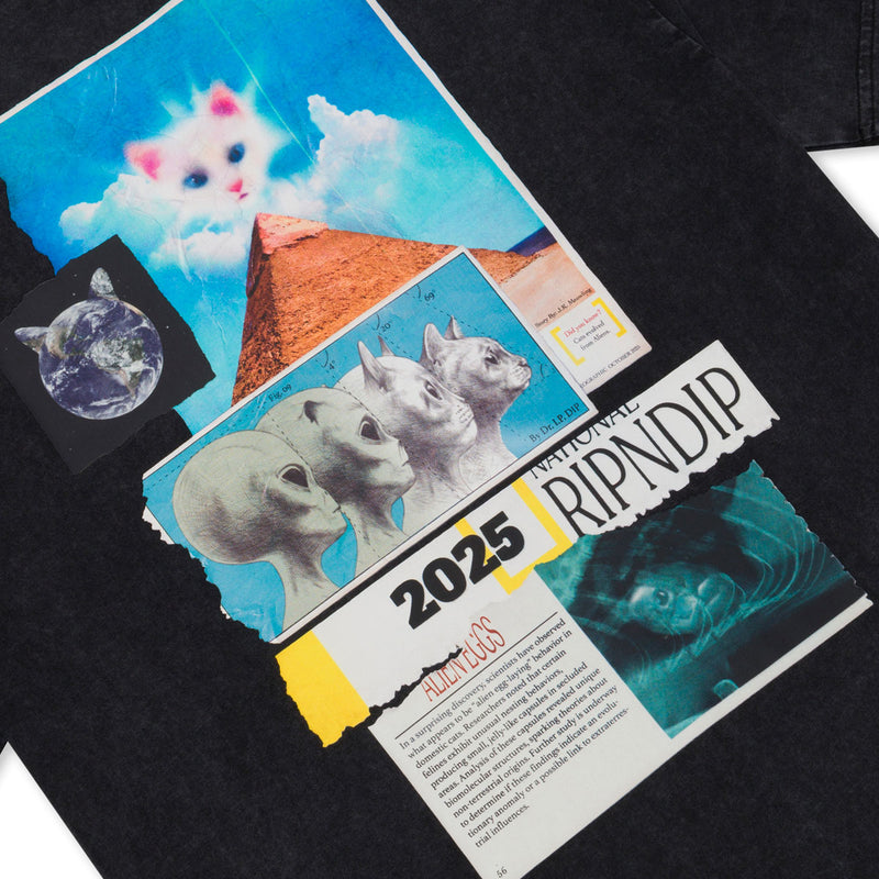 RIPNDIP Nerm Geo T-Shirt - Black Vintage Wash
