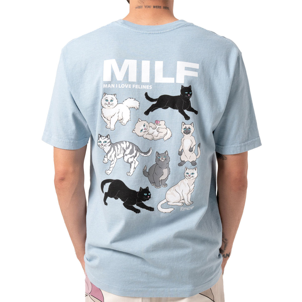 RIPNDIP Man I Love Felines T-Shirt - Powder Blue image 4