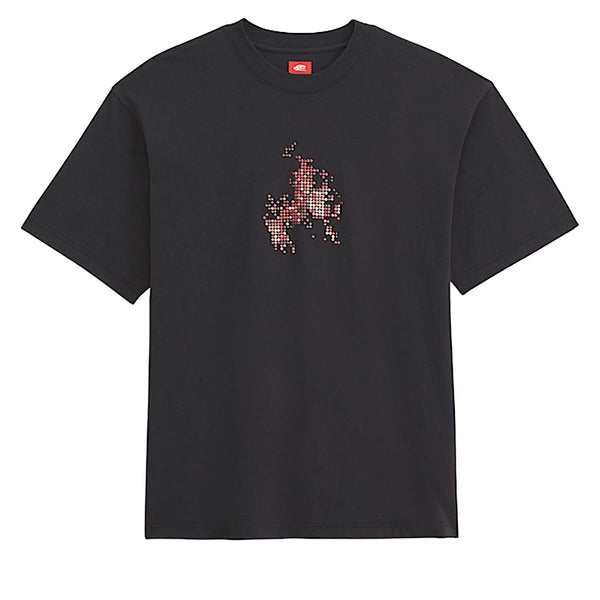 Vans Skate Flame T-Shirt - Black – CCS