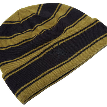 Vans Skate Blurry Stripe Beanie - Black