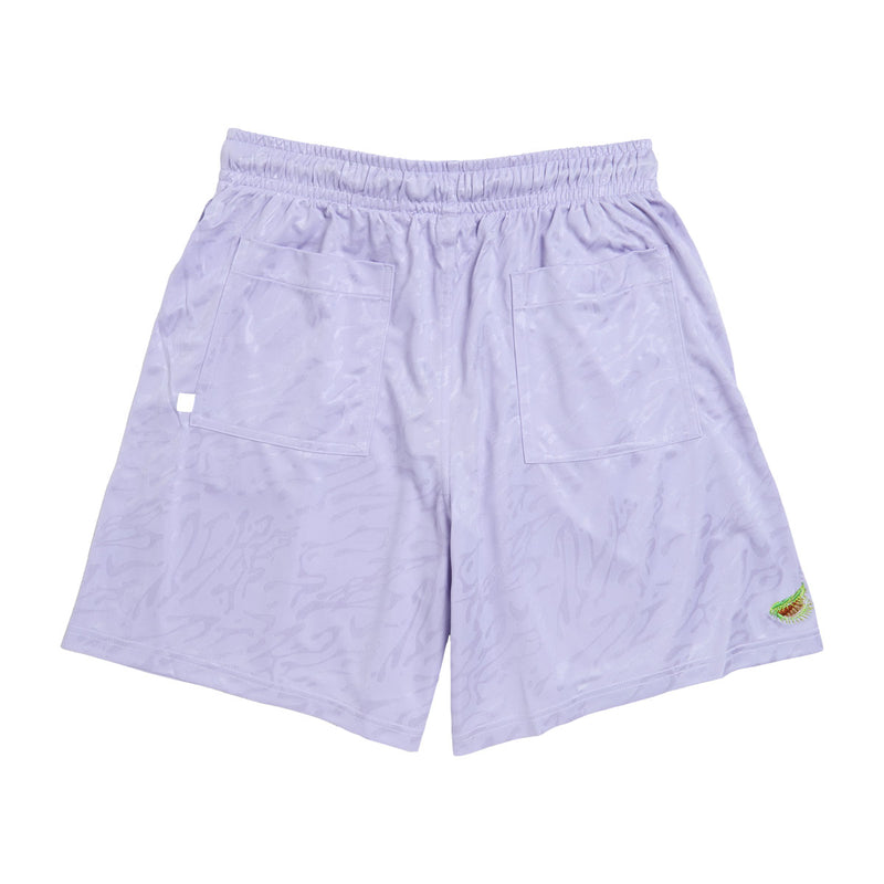 Nike SB Dri-Fit Jacquard Skate Shorts - Hydrangeas/White