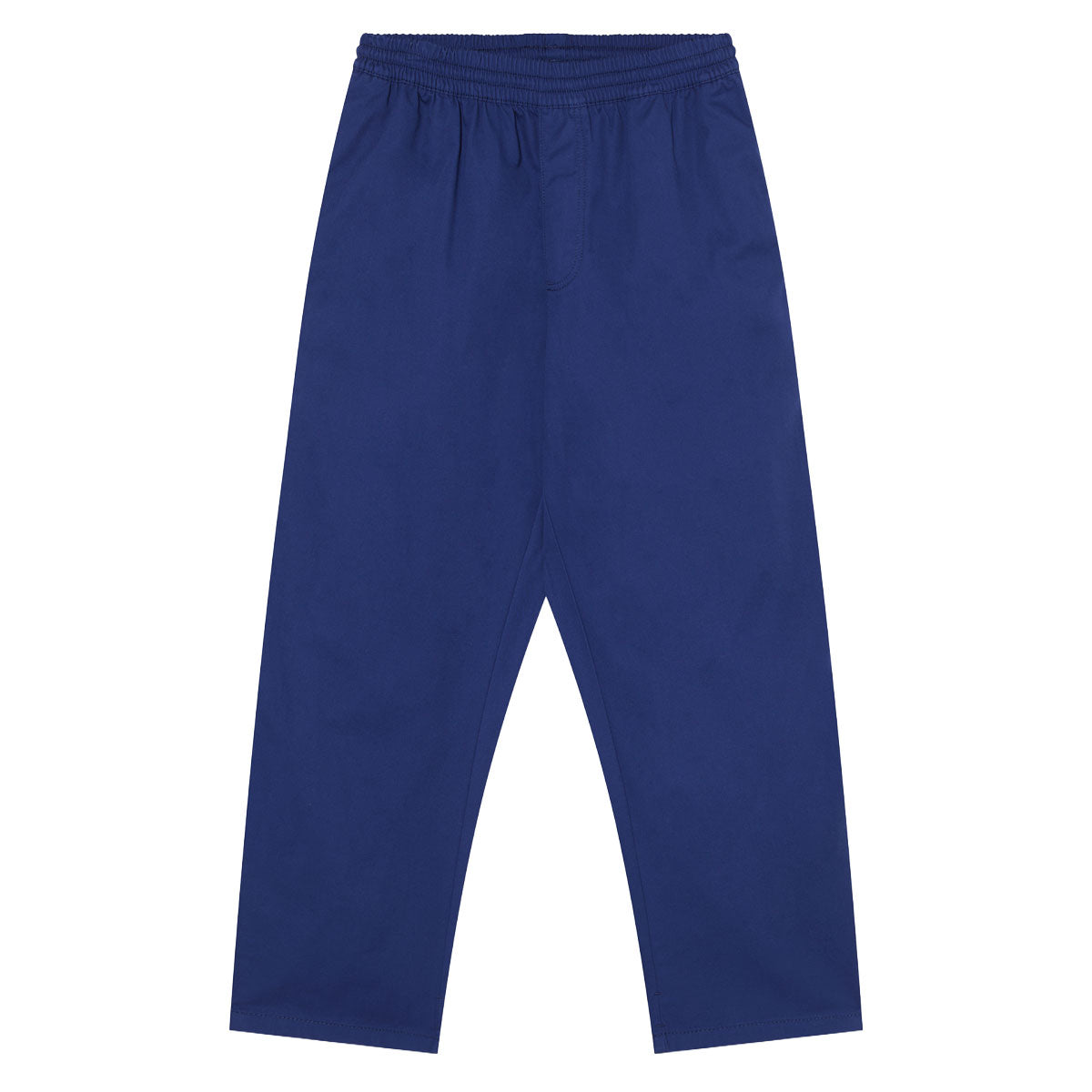 Polar Surf Pants - Dark Blue image 1