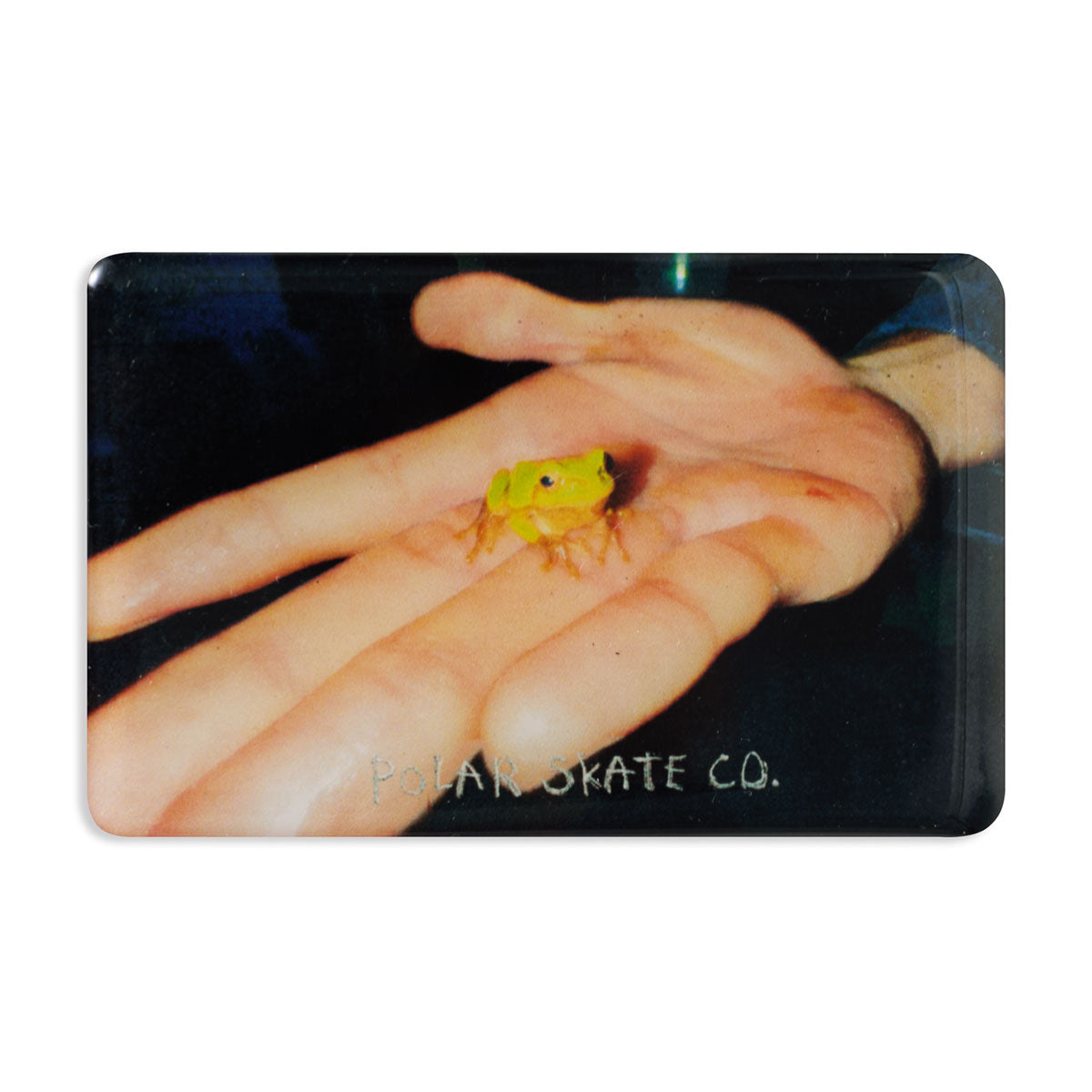 Polar Frog Magnet - Multi image 1