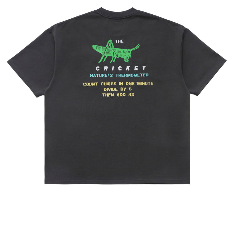 Metalwood Cricket Heavy Pocket T-Shirt - Tar