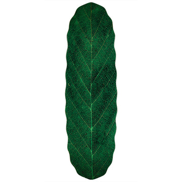 Habitat Leafline Egg Skateboard Deck - Green - 9.00