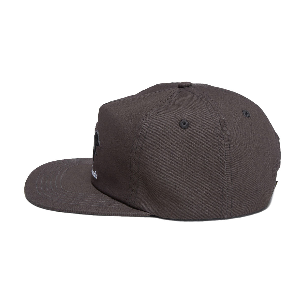 Anti-Hero Vampigeon Snapback Hat - Charcoal – CCS