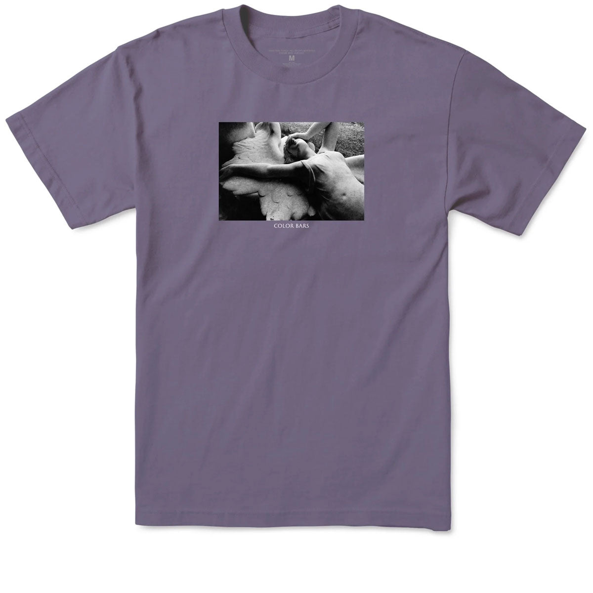 Color Bars x Joy Division Love Will Tear Us Apart T-Shirt - Grape image 1
