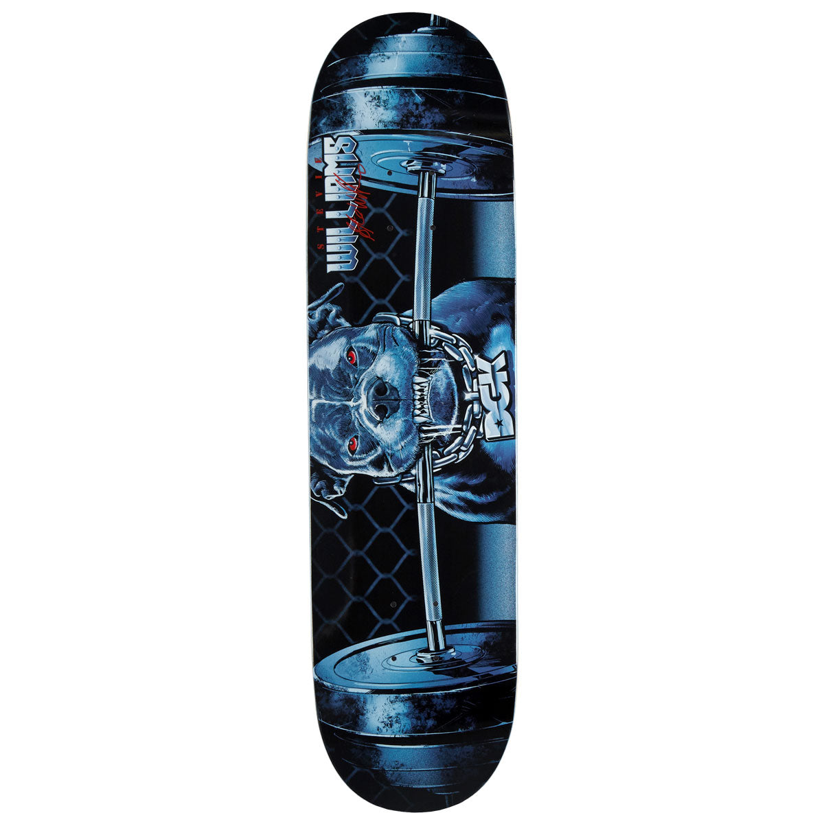 DGK Skateboard Decks