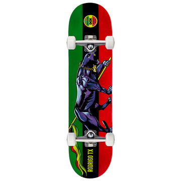 DGK United TX Skateboard Complete - 8.06