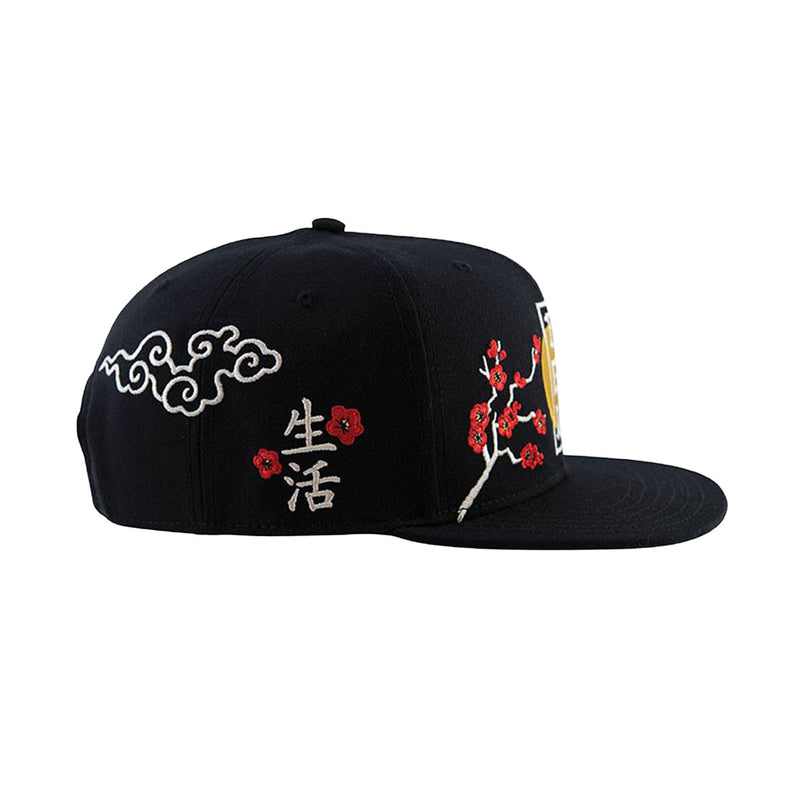 DGK Patience Hat - Black
