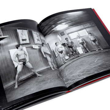 Super Labo The Joy Is In Capturing The Journey Book By Ray Barbee