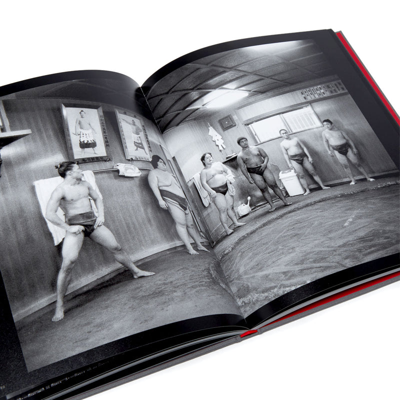 Super Labo The Joy Is In Capturing The Journey Book By Ray Barbee