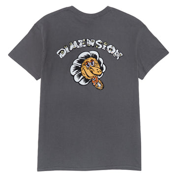 Portal Dimension Banjo Sunflower T-Shirt - Grey