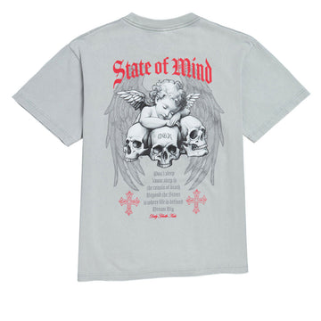 DGK Angelic Boxy T-Shirt - Vintage Silver