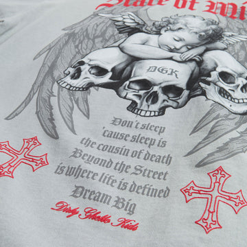 DGK Angelic Boxy T-Shirt - Vintage Silver