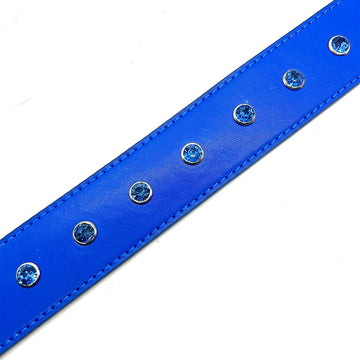 Loosey Rhinestone Belt - Royal Blue