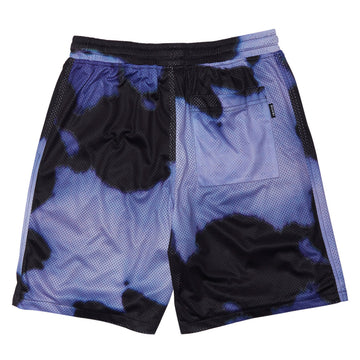 Quasi Chromakey Shorts - Purple