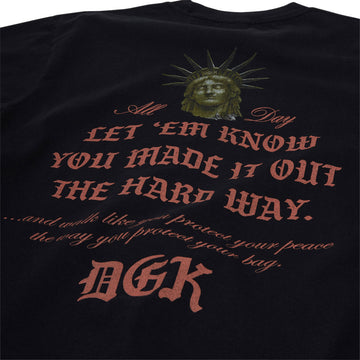 DGK Shadows Boxy Fit T-Shirt - Black