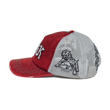 DGK Perro Trucker Hat - Burgundy