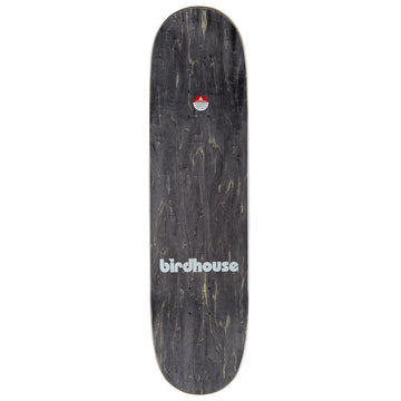 Birdhouse Greyson Fletcher Toybox Skateboard Complete - 8.25