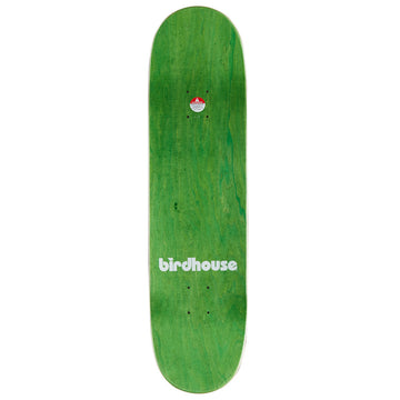 Birdhouse Tony Hawk Tillbrook Skateboard Complete - 8.25